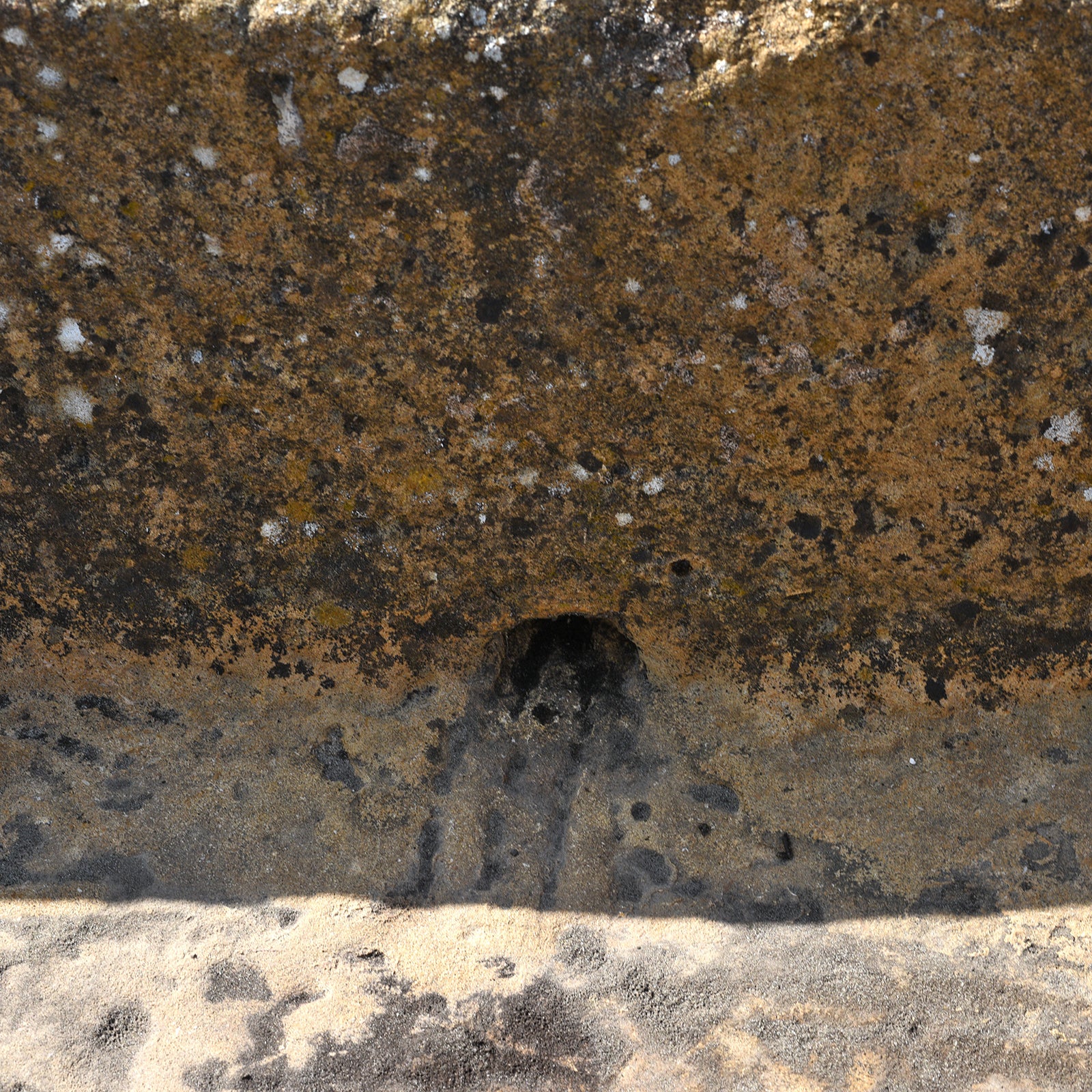 Carved Stone Water Trough - 19th Century - Image 5