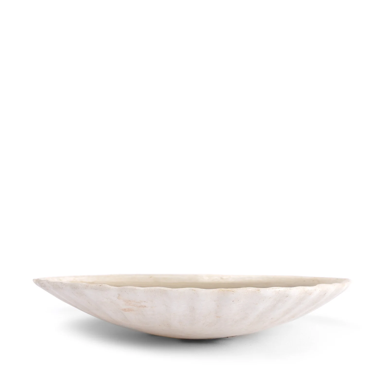 White Marble Shell Soap Dish - Image 3