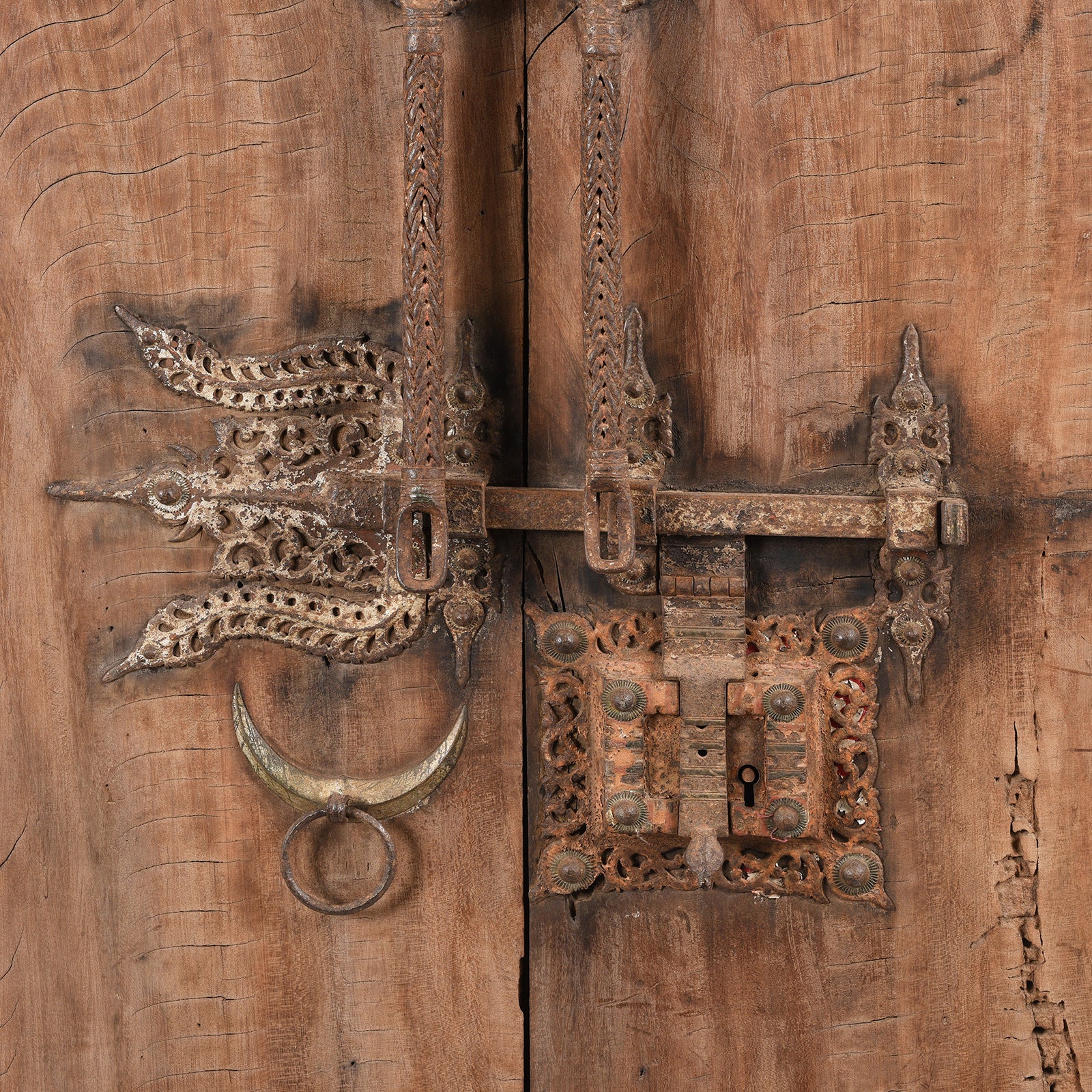 Indian Jackfruit Door From Kerala - 19th Century - Image 6