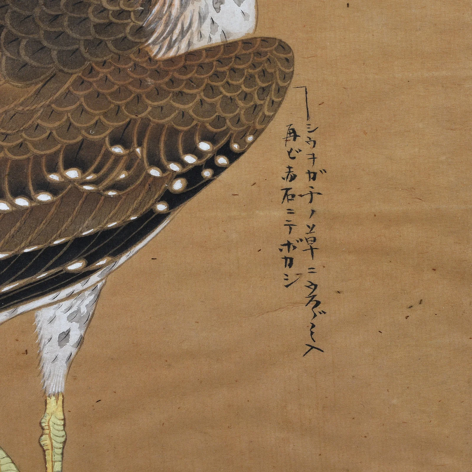 Japanese Painting of a Egret by Akaishi Mitebokashi - Circa 1900 - Image 6