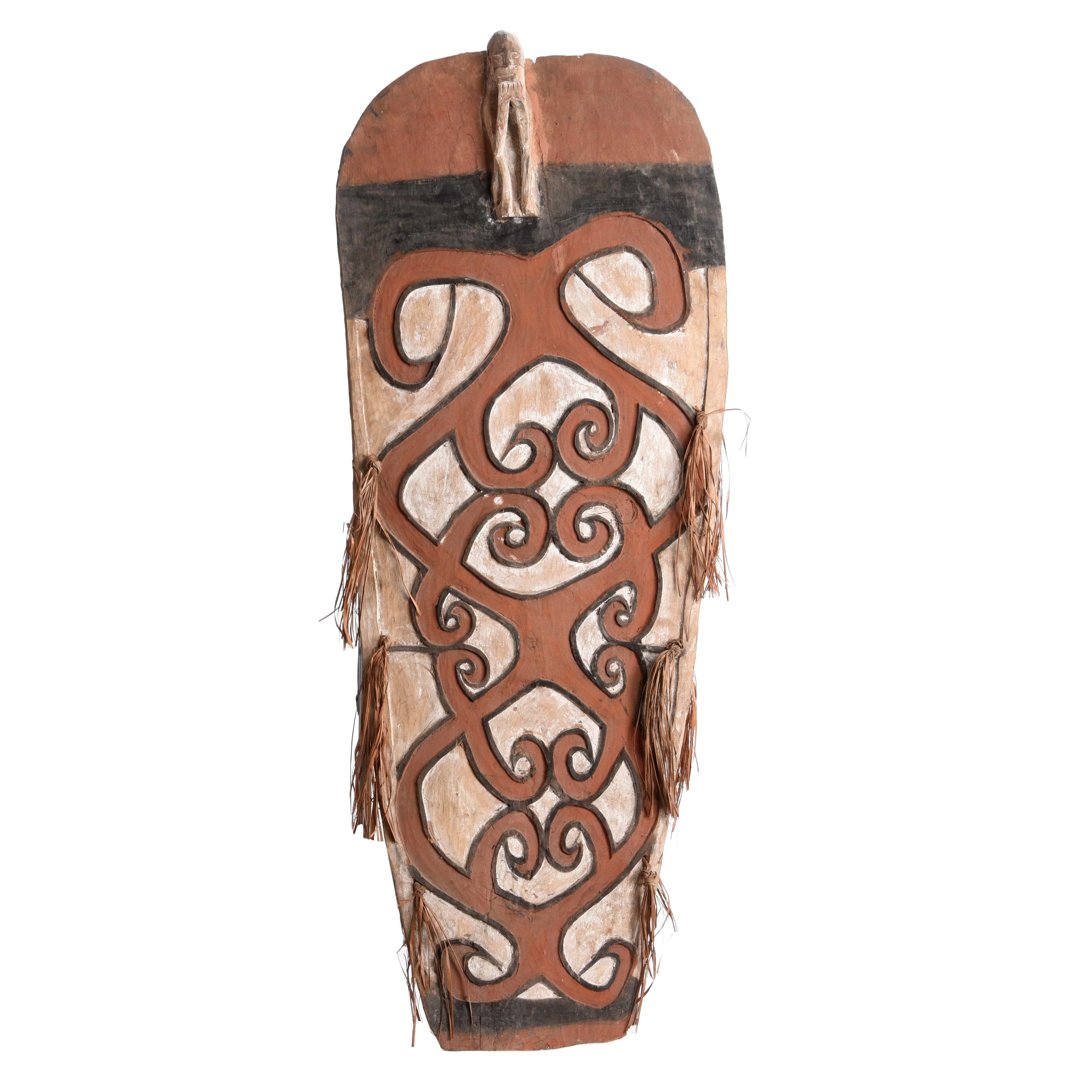 Asmat Ceremonial Shield from New Guinea - Ca 85 yrs old - Image 5