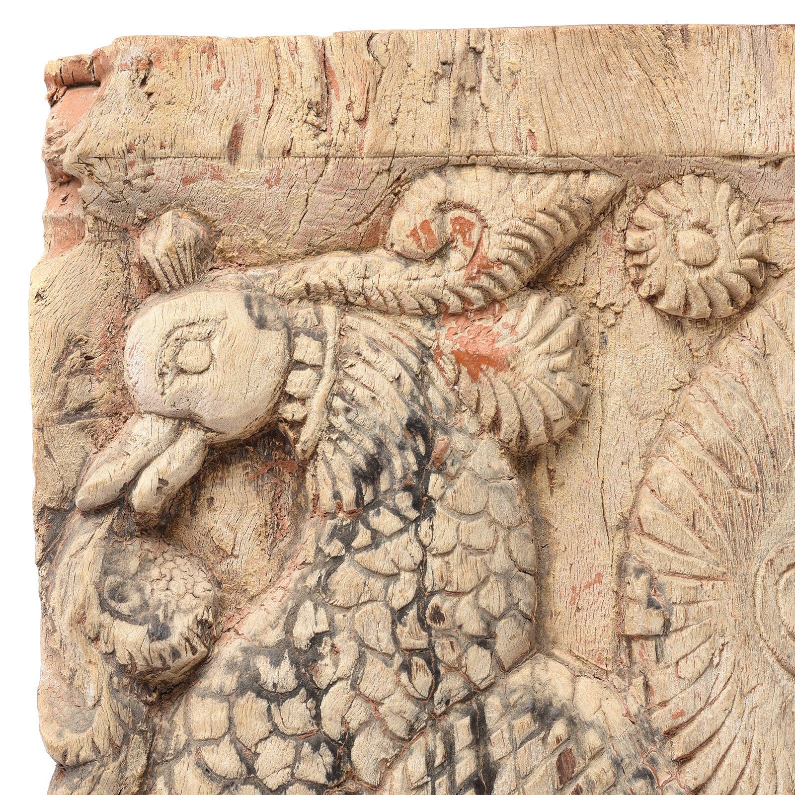 Carved Peacock Panel From A Ratha Yatra Chariot - 19thC - Image 2