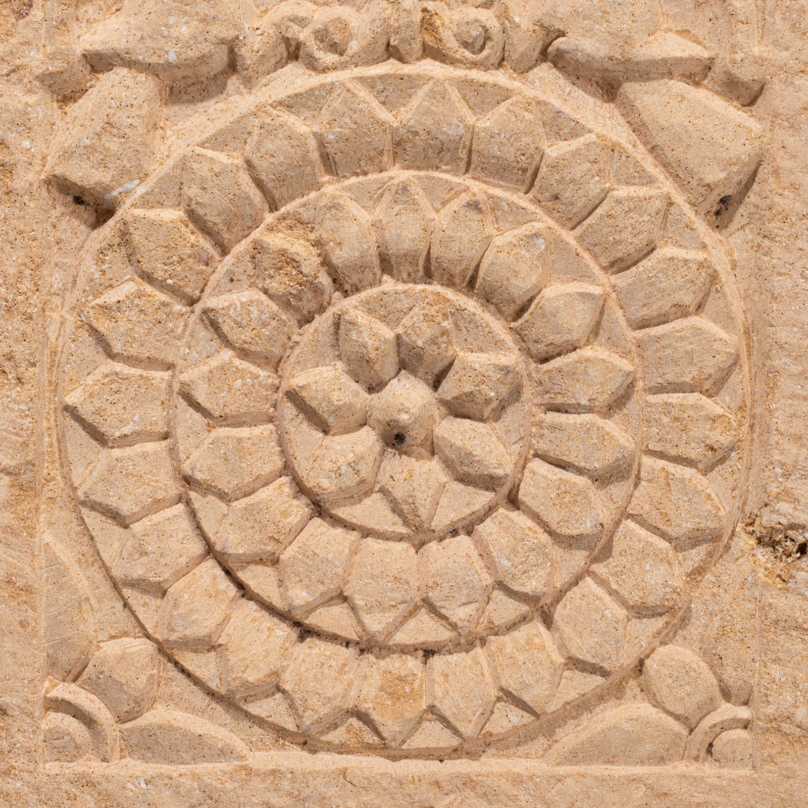 Indian Stone Panel From Jaisalmer - 19th Century - Image 4
