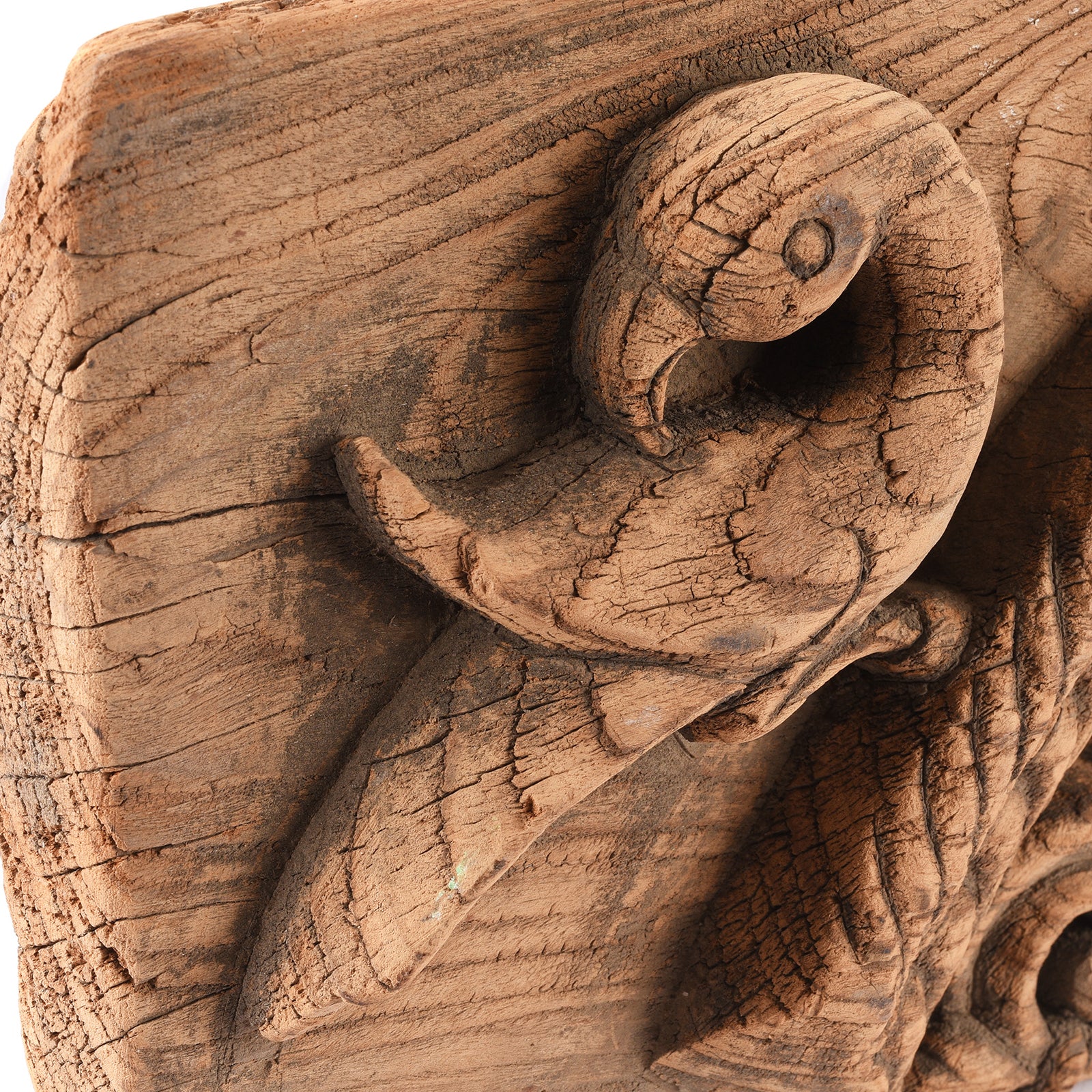 Carved Peacock Panel From Andra Pradesh - 18th Century - Image 5