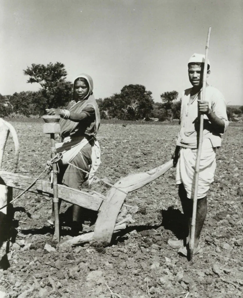 Teak Seed Drill From Madhya Pradesh - 19th Century - Image 8