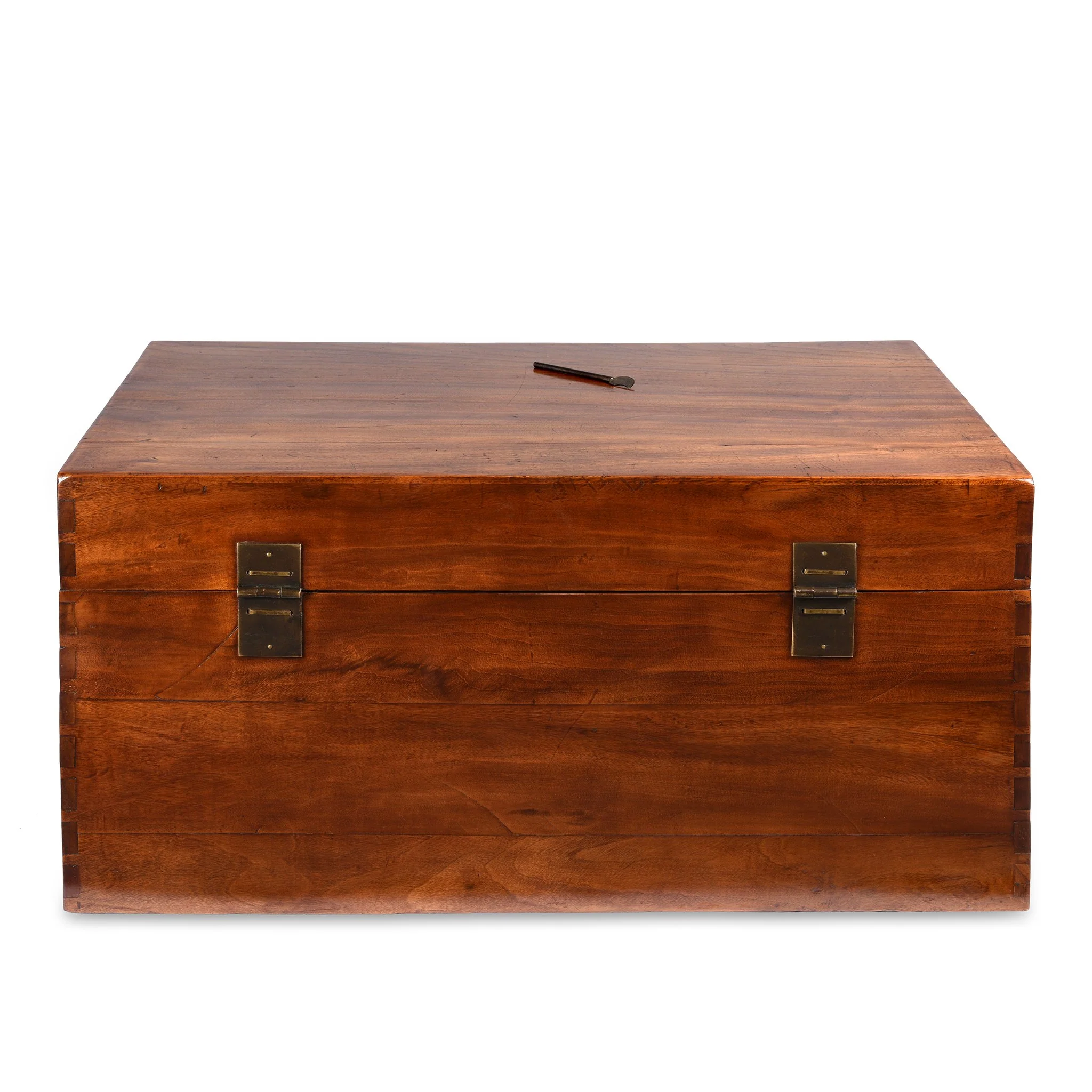 Chinese Camphor Trunk from Tianjin - 19thC - Image 9