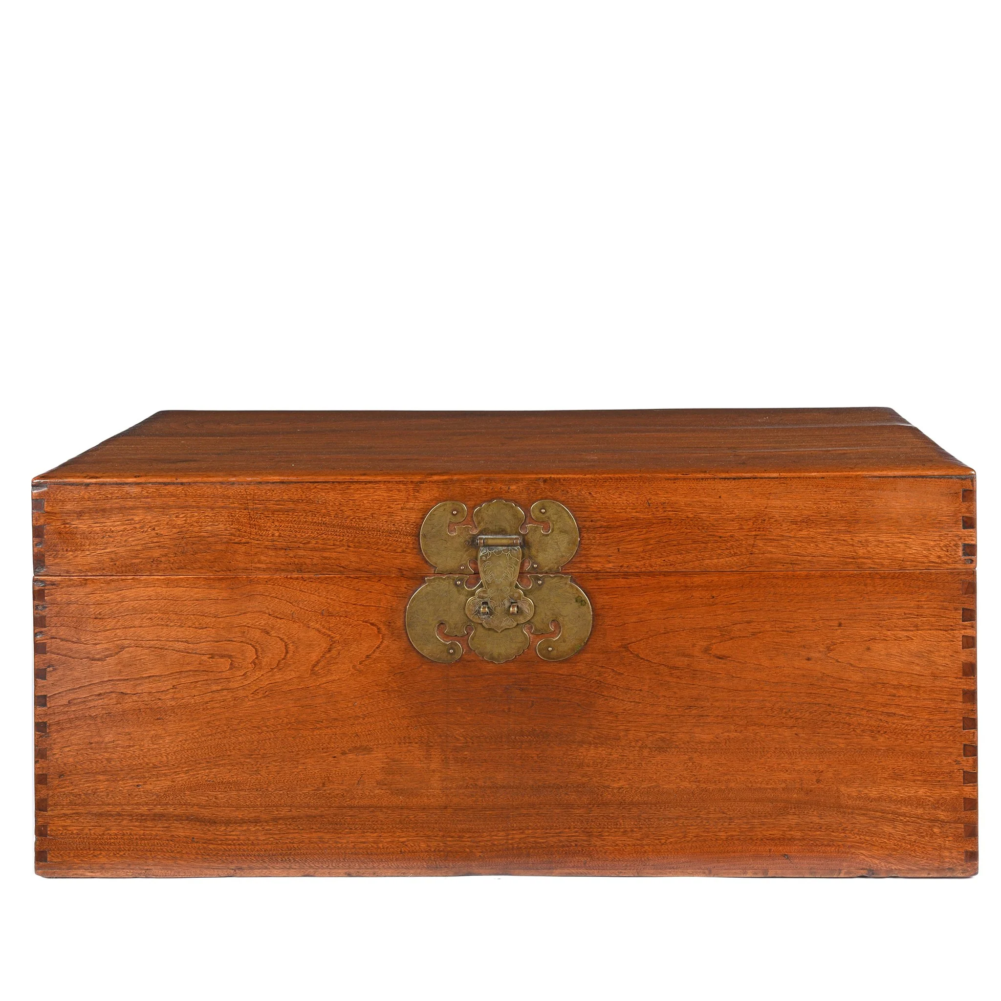 Chinese Camphor Trunk from Tianjin - 19thC