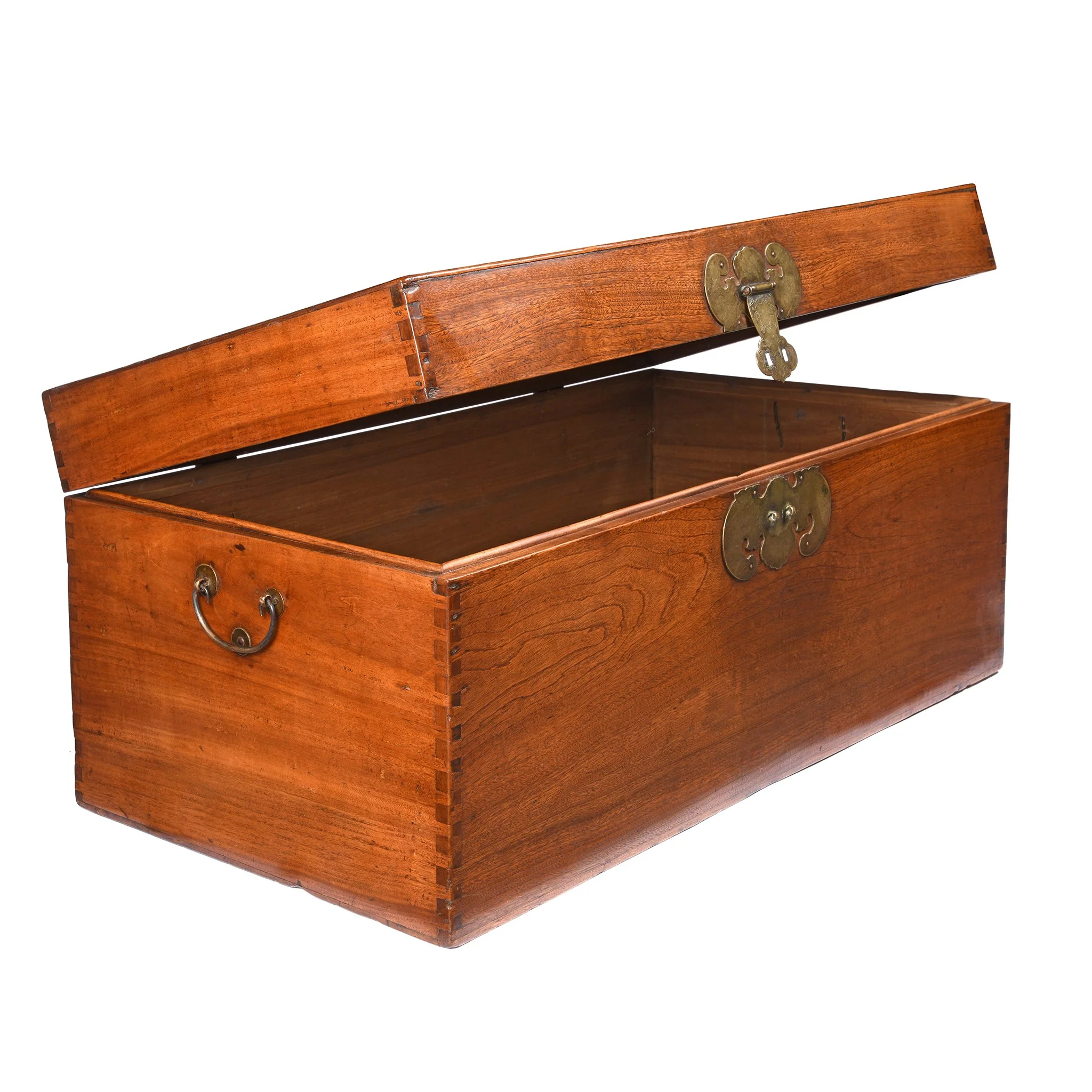 Chinese Camphor Trunk from Tianjin - 19thC - Image 2