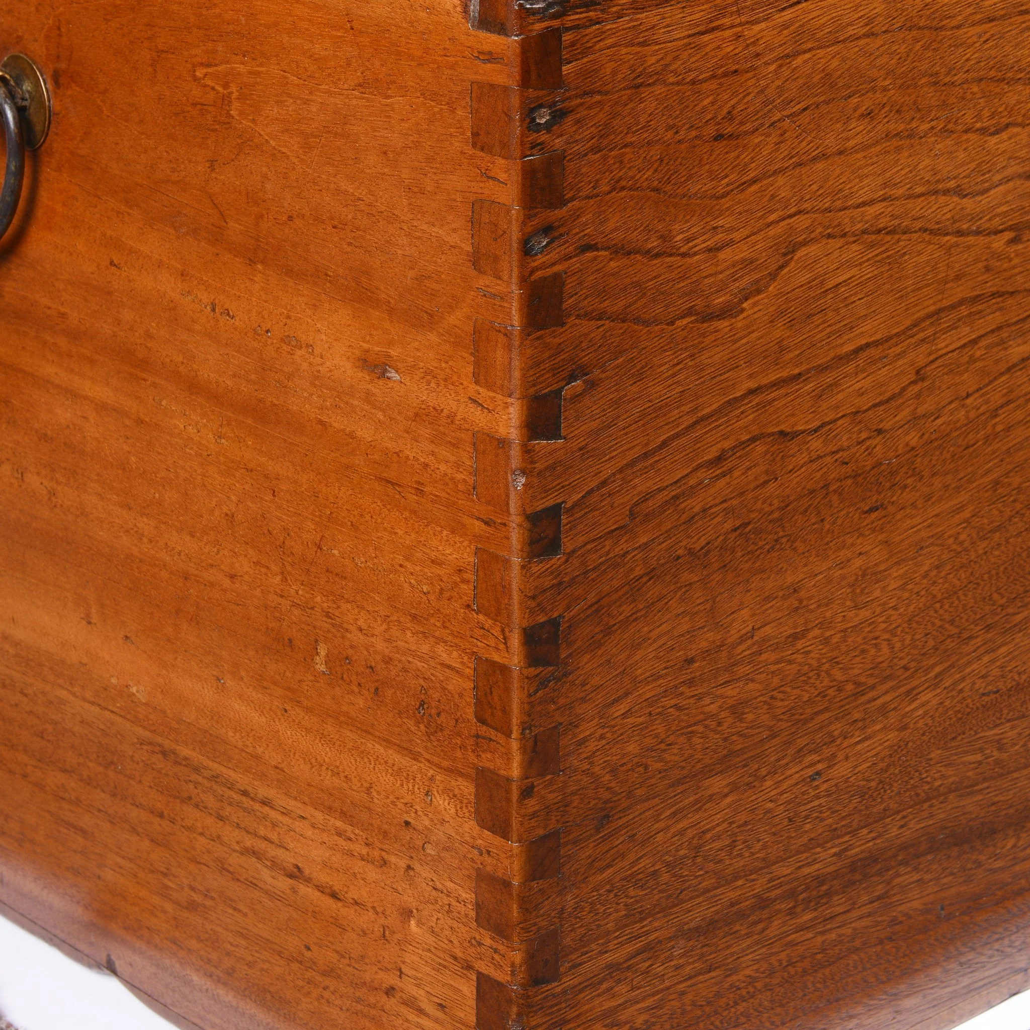 Chinese Camphor Trunk from Tianjin - 19thC - Image 4