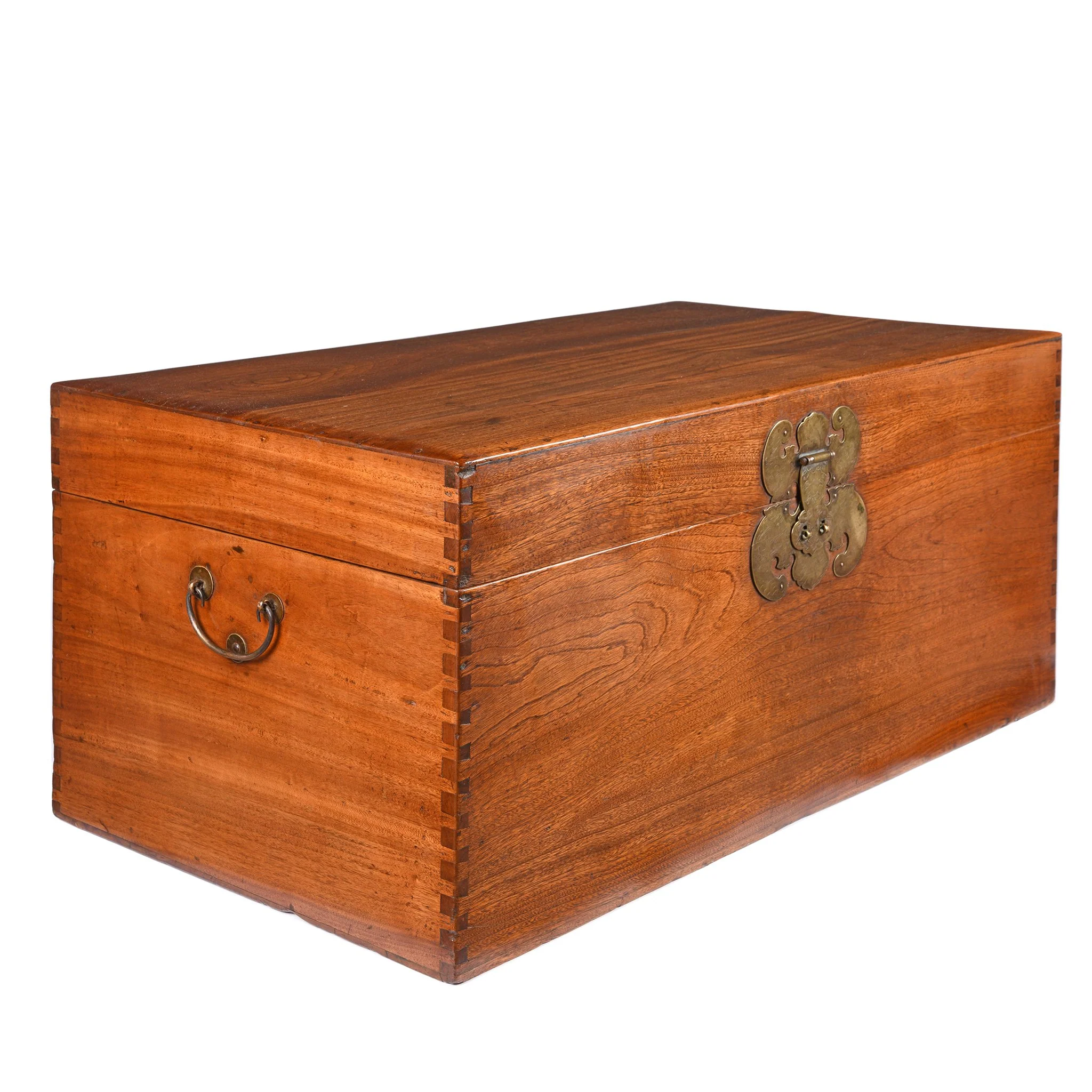 Chinese Camphor Trunk from Tianjin - 19thC - Image 6