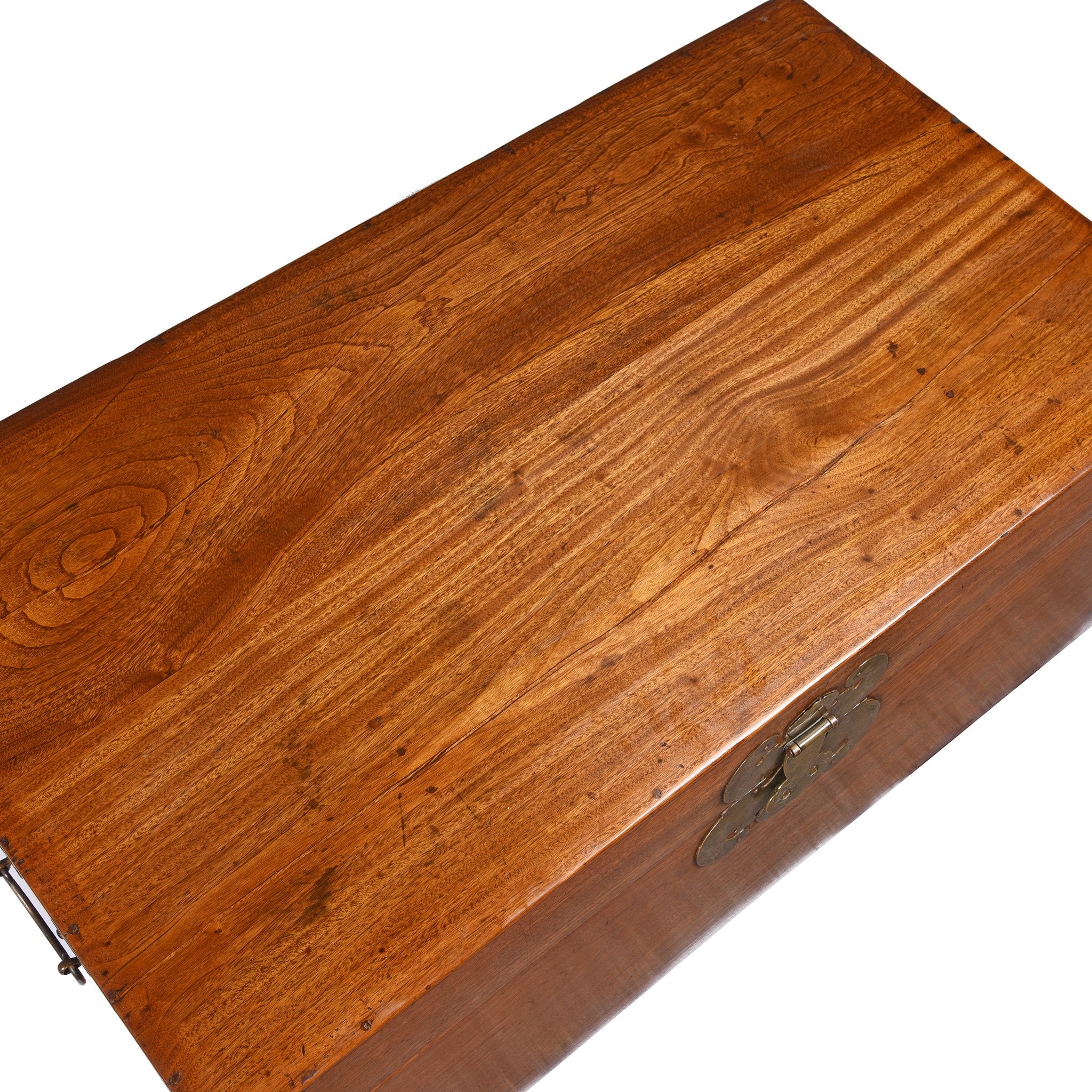 Chinese Camphor Trunk from Tianjin - 19thC - Image 8