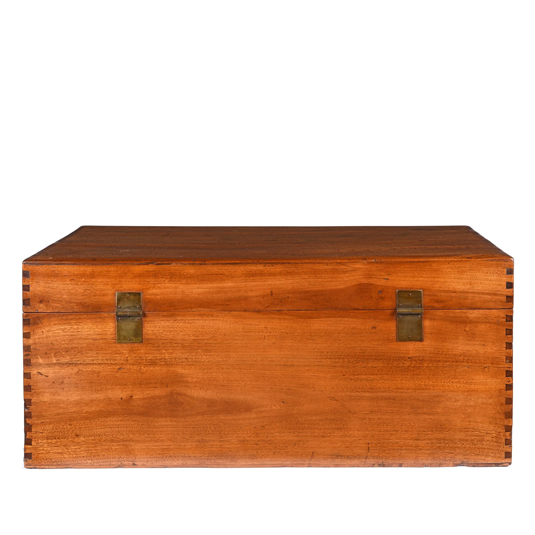 Chinese Camphor Trunk from Tianjin - 19thC - Image 9