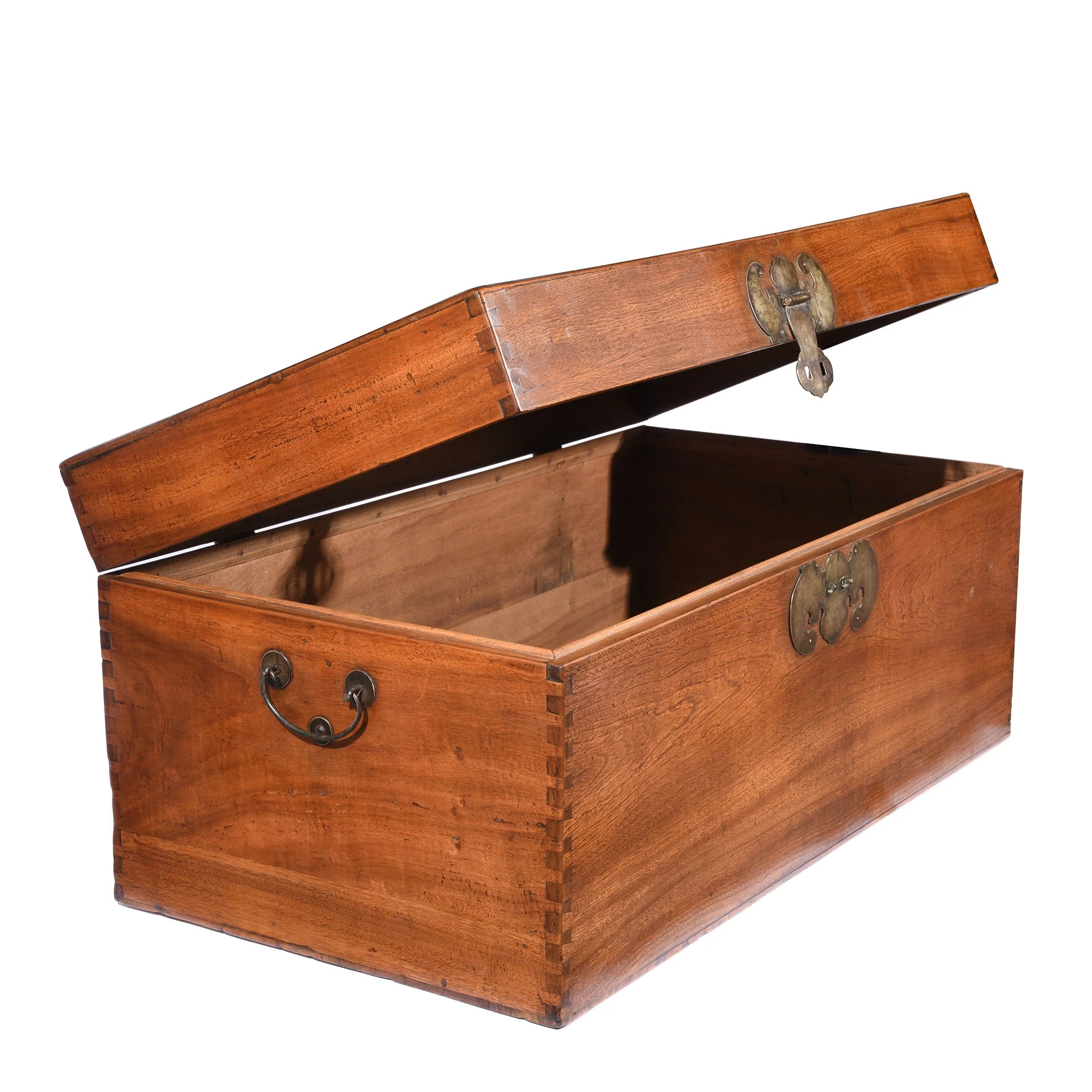 Chinese Camphor Trunk from Tianjin - 19thC - Image 2