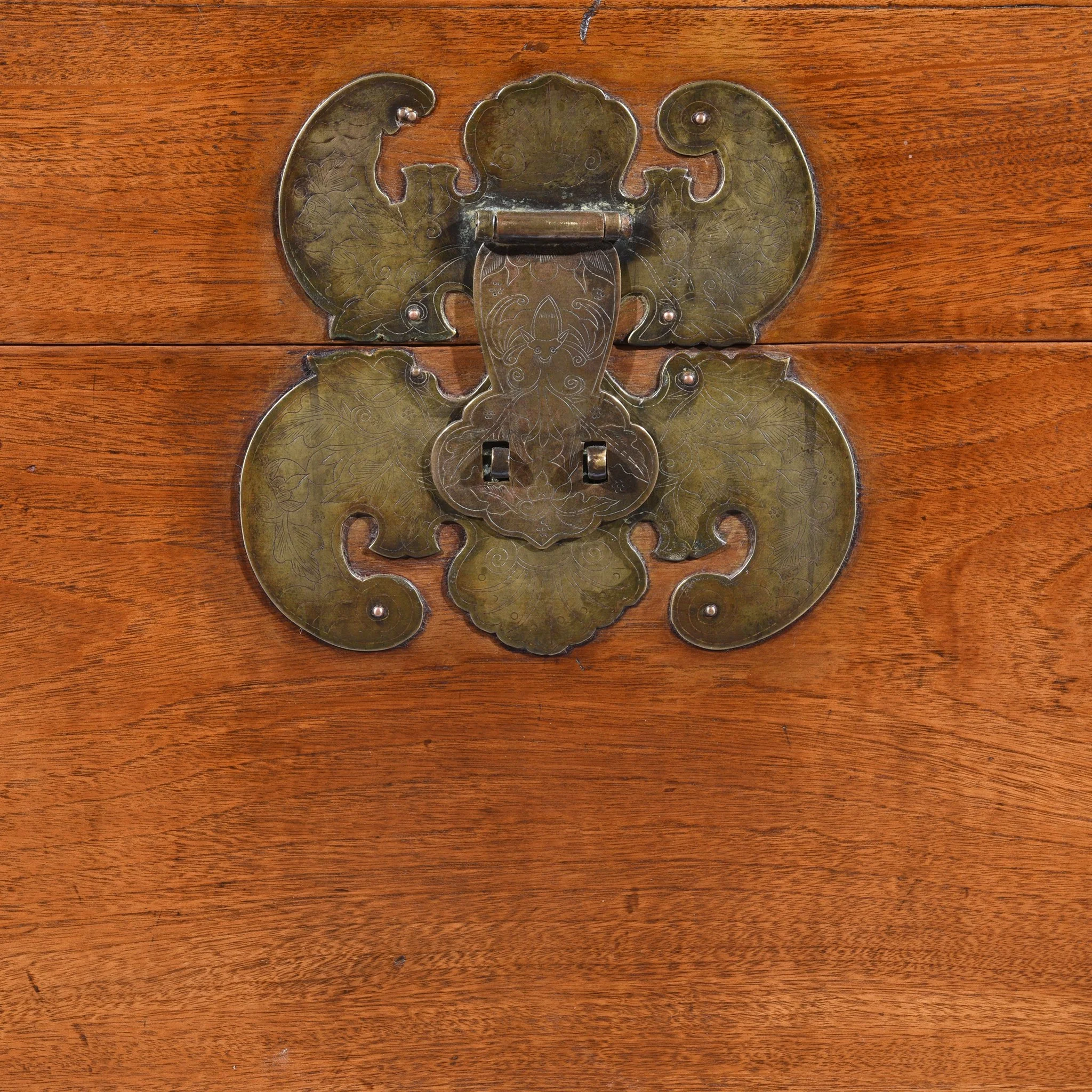 Chinese Camphor Trunk from Tianjin - 19thC - Image 3