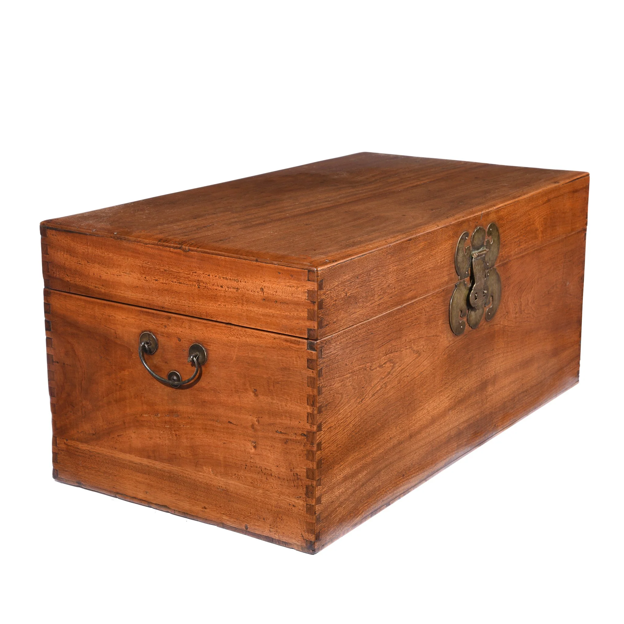 Chinese Camphor Trunk from Tianjin - 19thC - Image 5