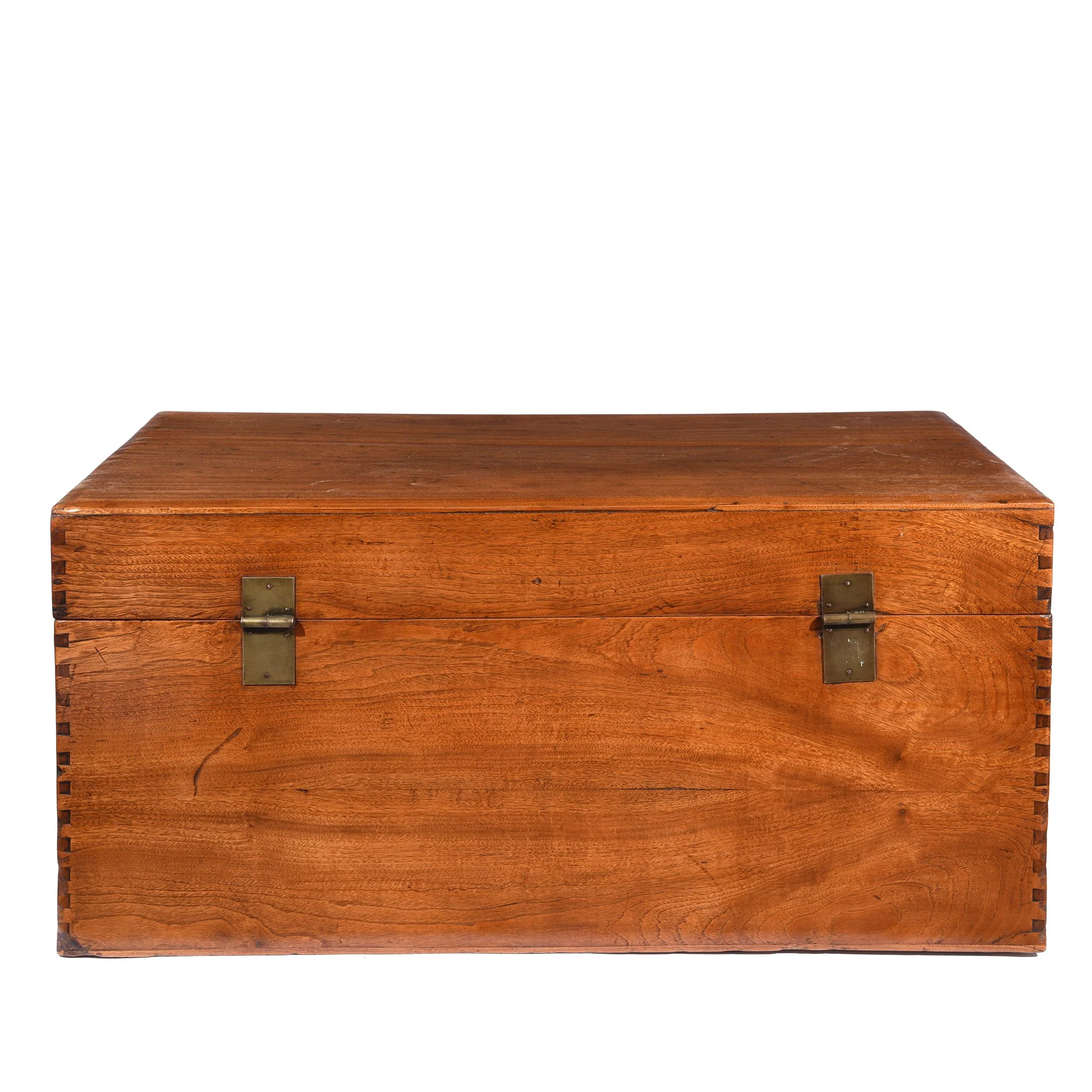 Chinese Camphor Trunk from Tianjin - 19thC - Image 7