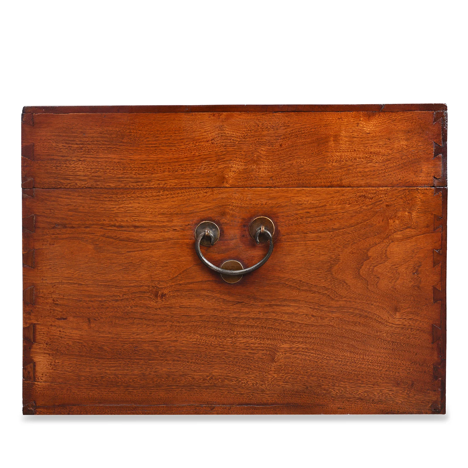 Chinese Camphor Trunk from Tianjin - Ca 1900 - Image 9