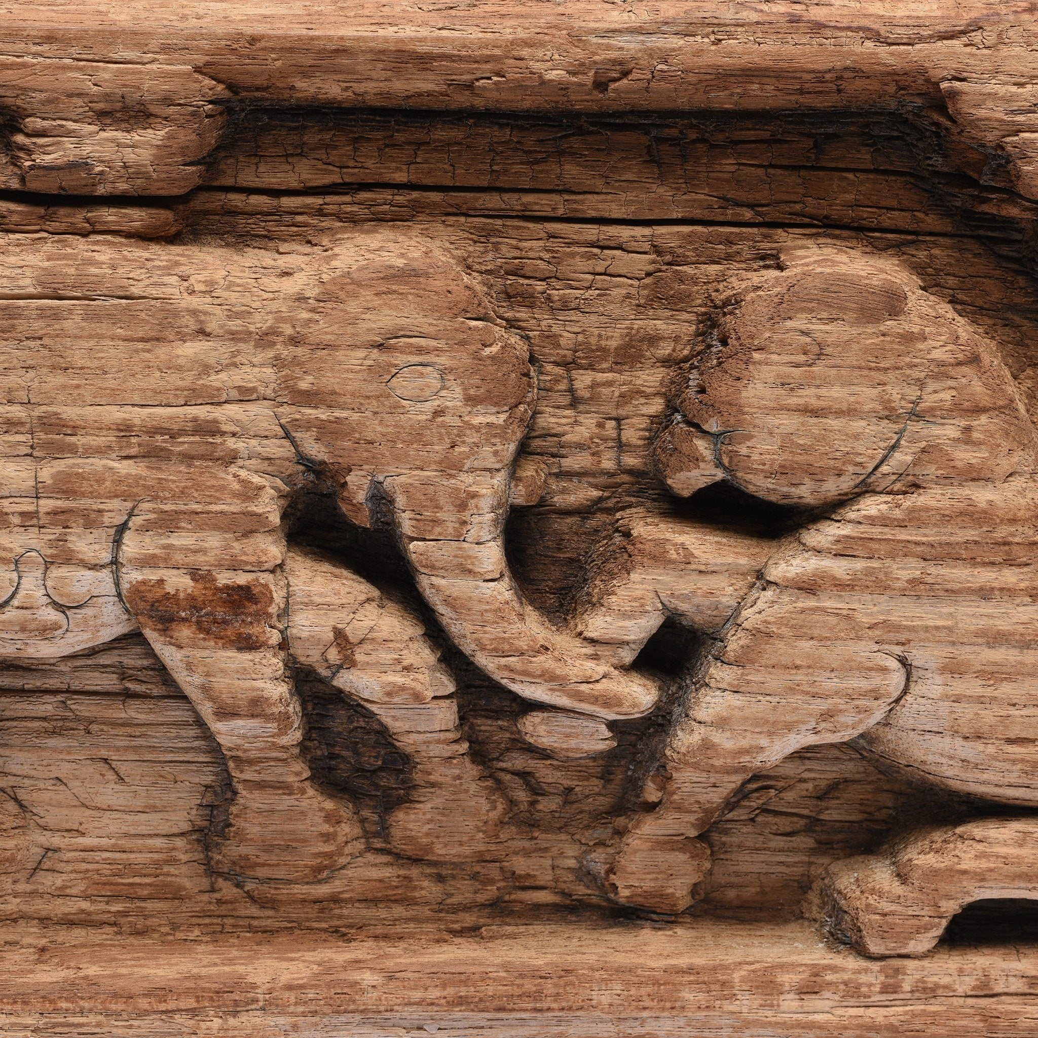 Teak Elephant & Lion Panel From Himachal Pradesh - 18thC - Image 3