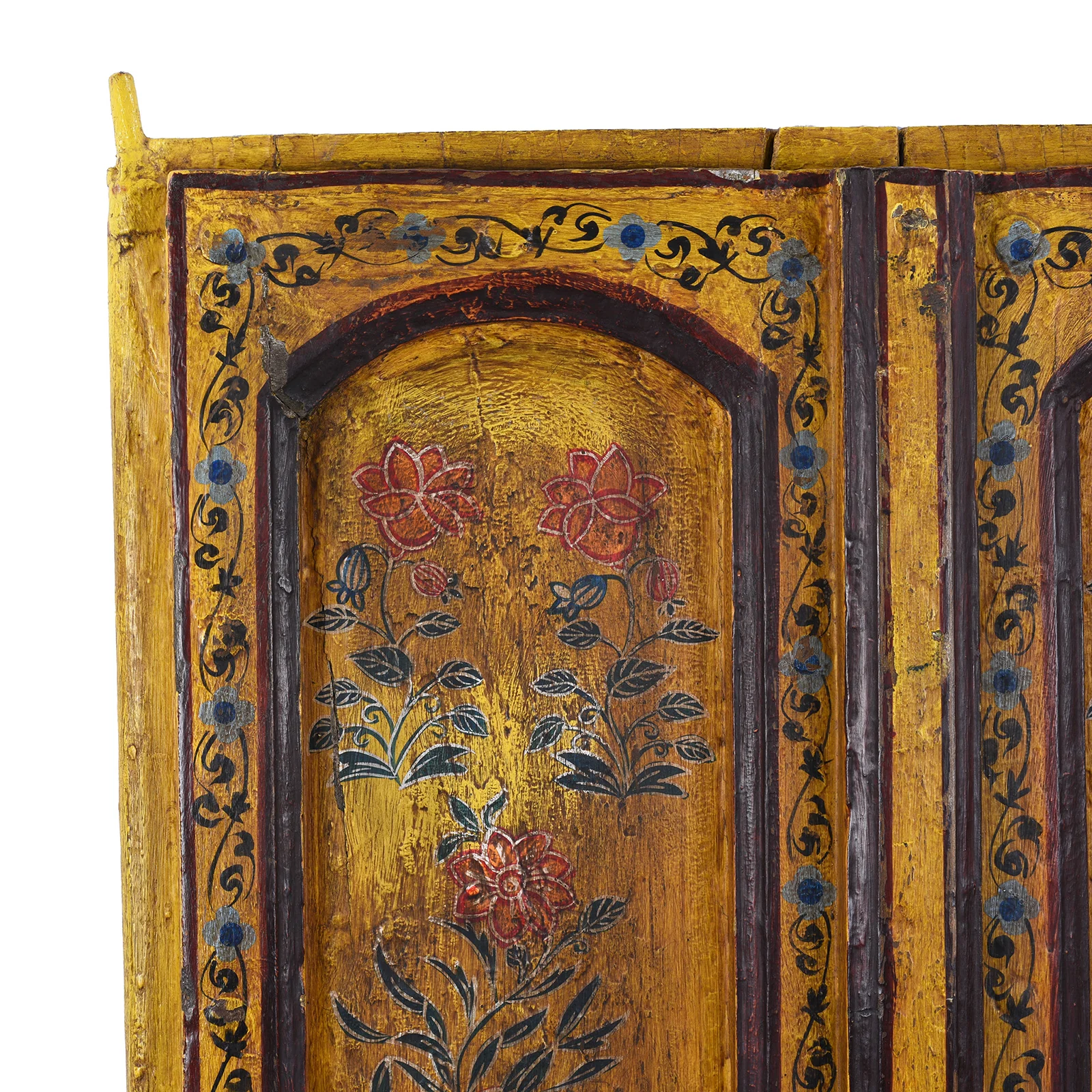 Vintage Painted Indian Doors - Image 3