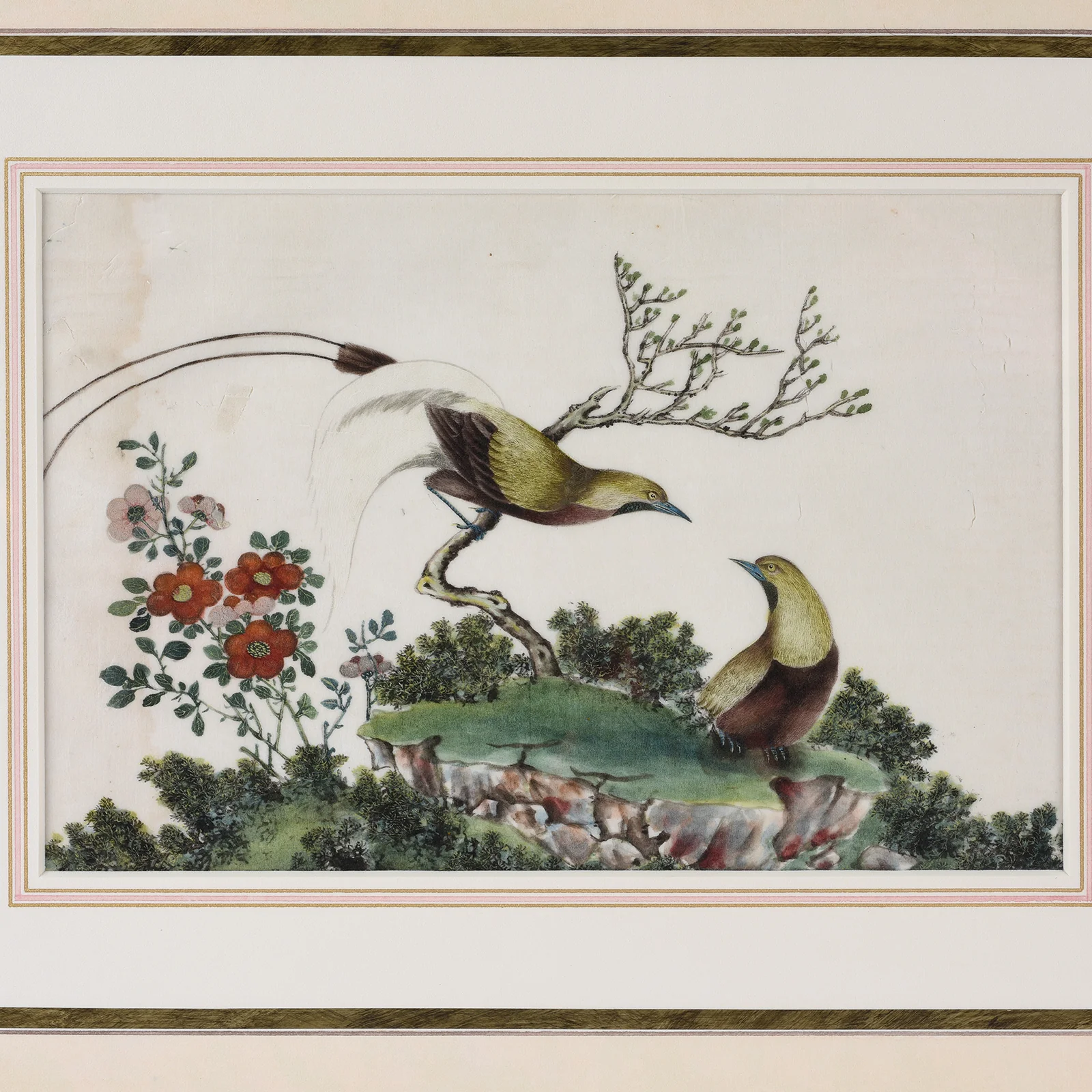 Framed Chinese Watercolour of Birds on Pith Paper - 19th Century - Image 3