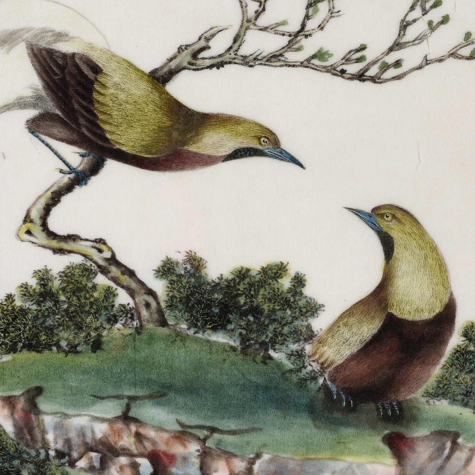Framed Chinese Watercolour of Birds on Pith Paper - 19th Century - Image 4
