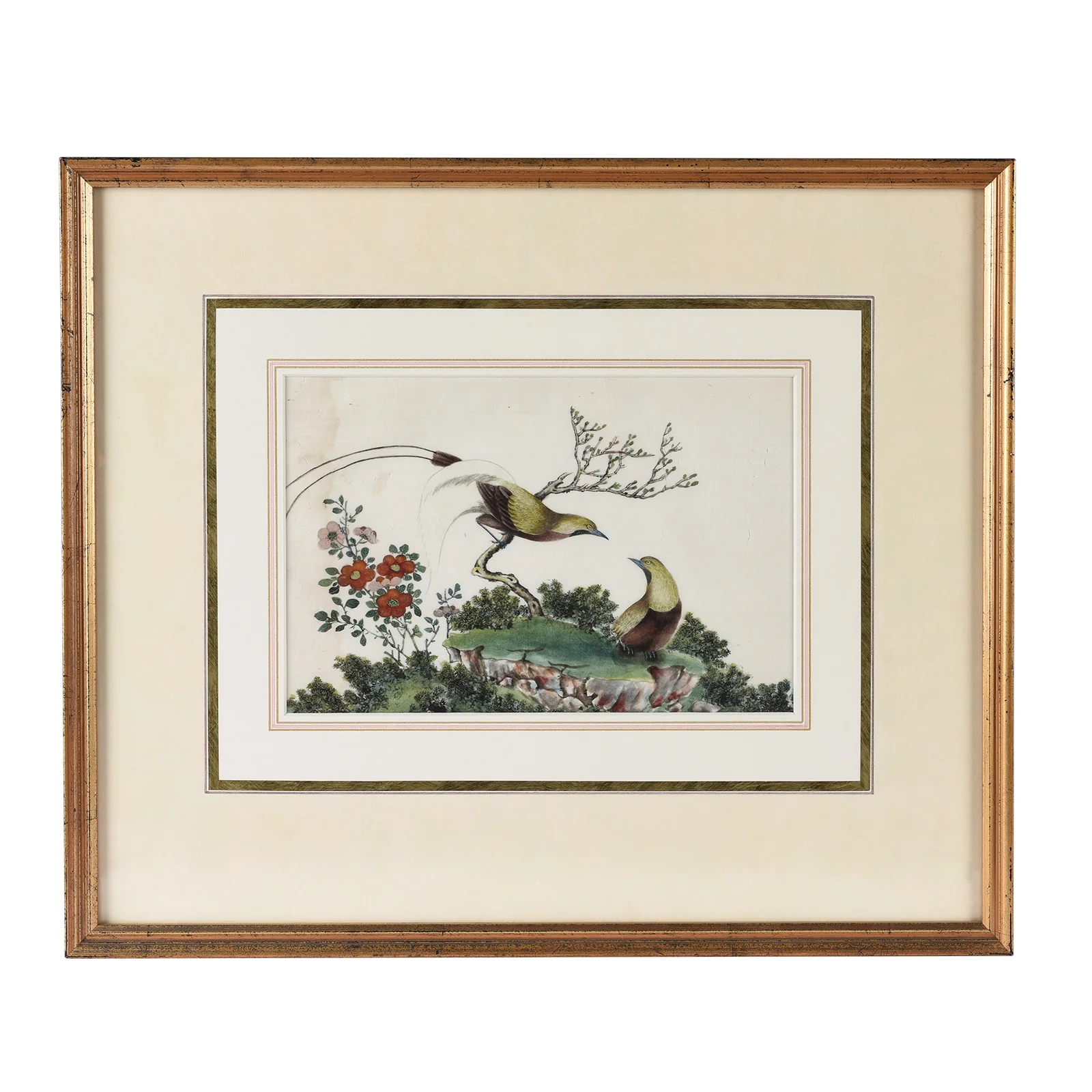 Framed Chinese Watercolour of Birds on Pith Paper - 19th Century - Image 5