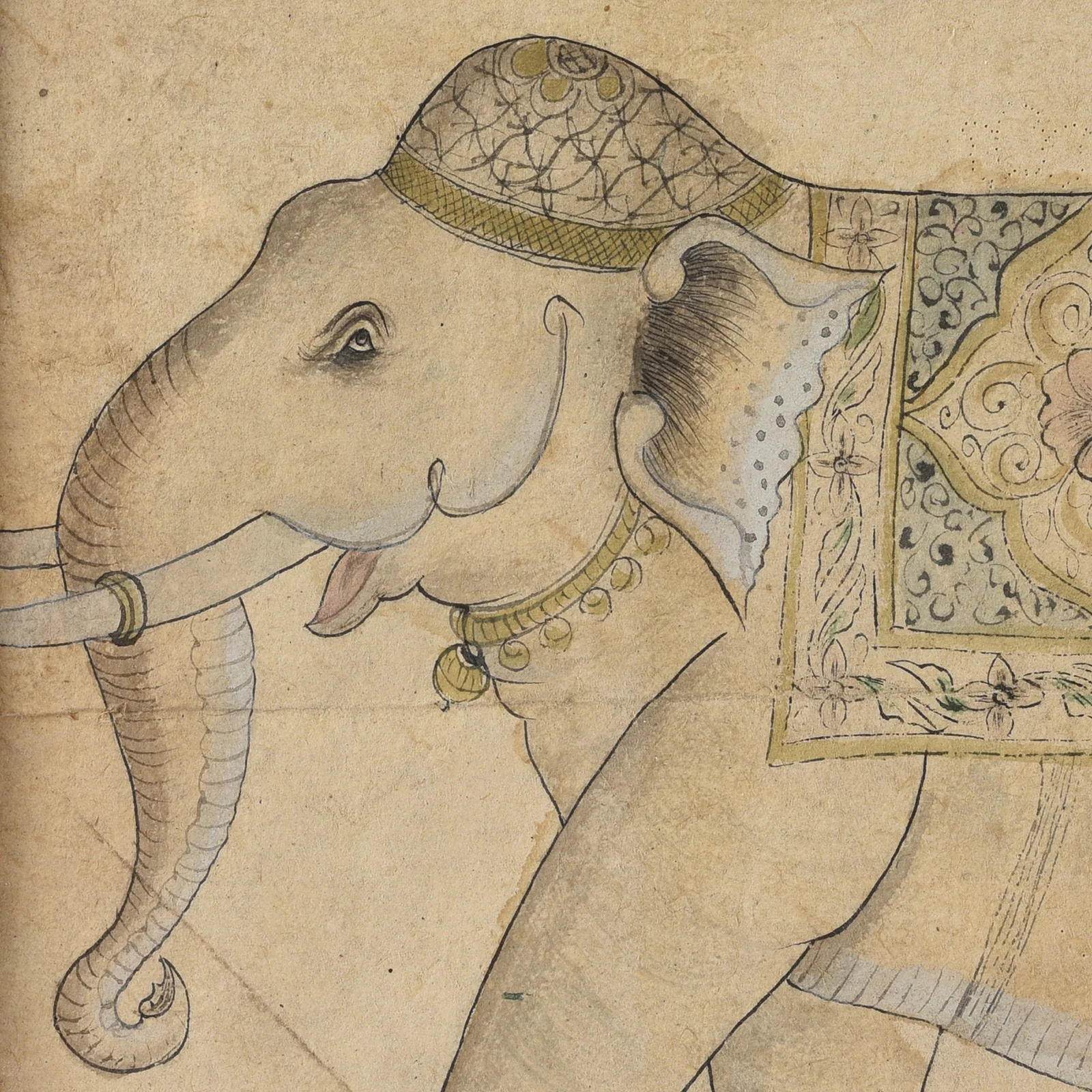Framed Rajasthani Portrait of an Elephant - 19th Century - Image 4