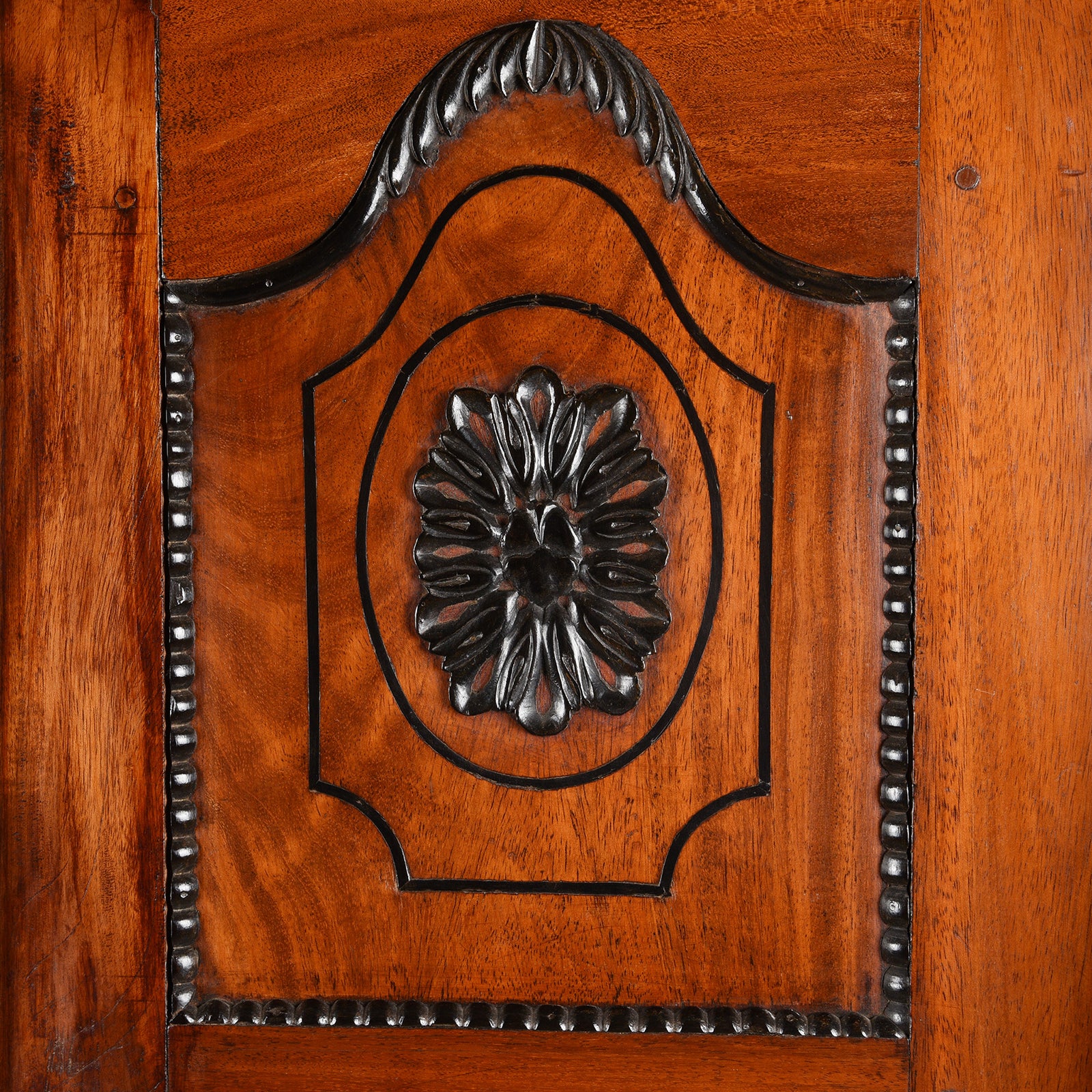 Dutch Colonial Jackfruit & Ebony Cabinet From Sri-Lanka -19th Century - Image 8