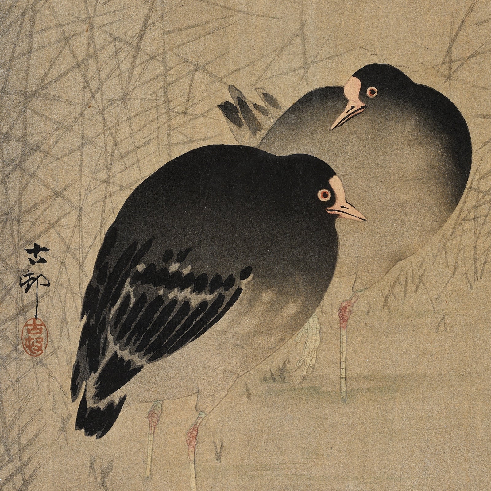 Moorhens Woodblock Print By Ohara Koson - Early 20th Century - Image 3