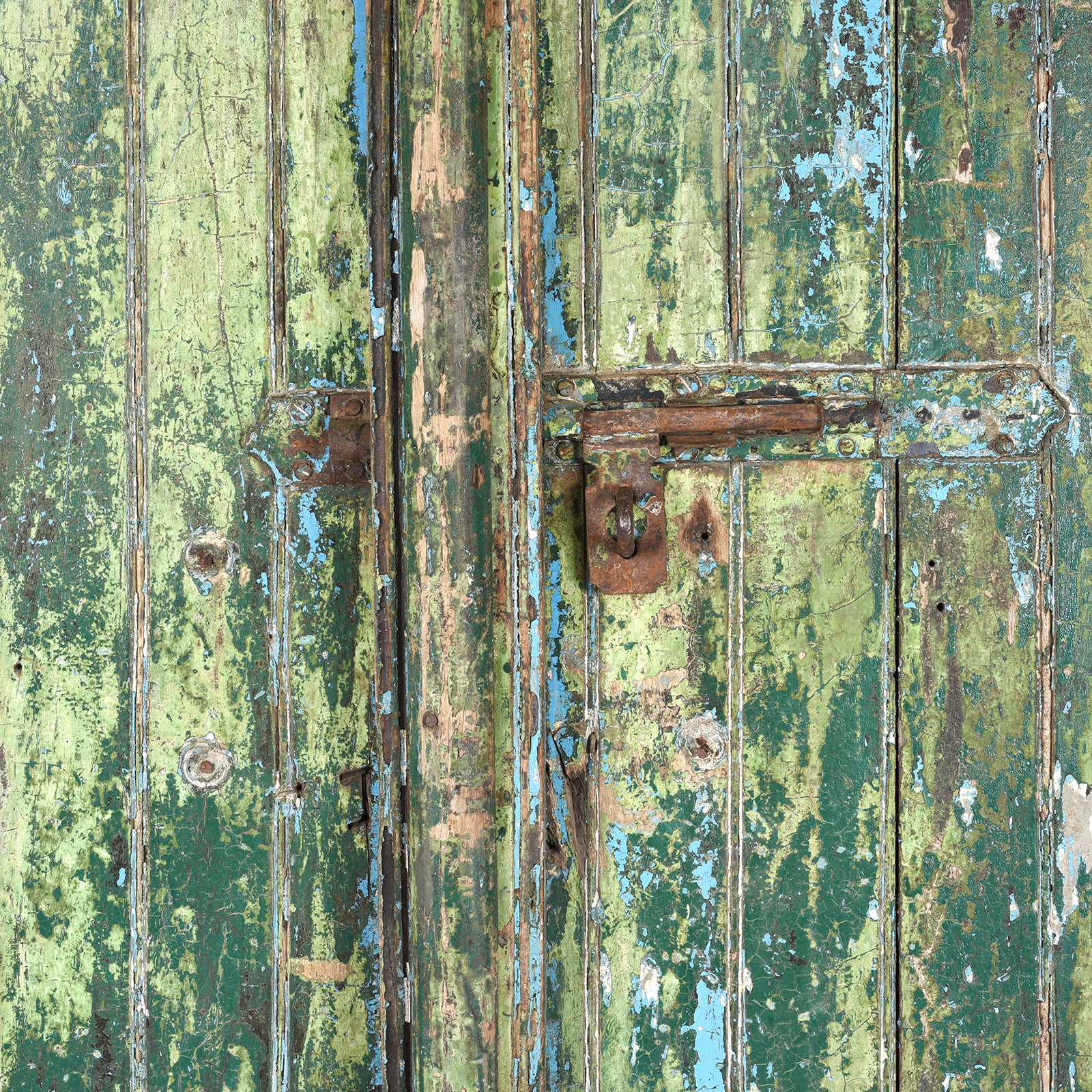 Painted Indian Door From Gujarat - Late 19th Century - Image 5