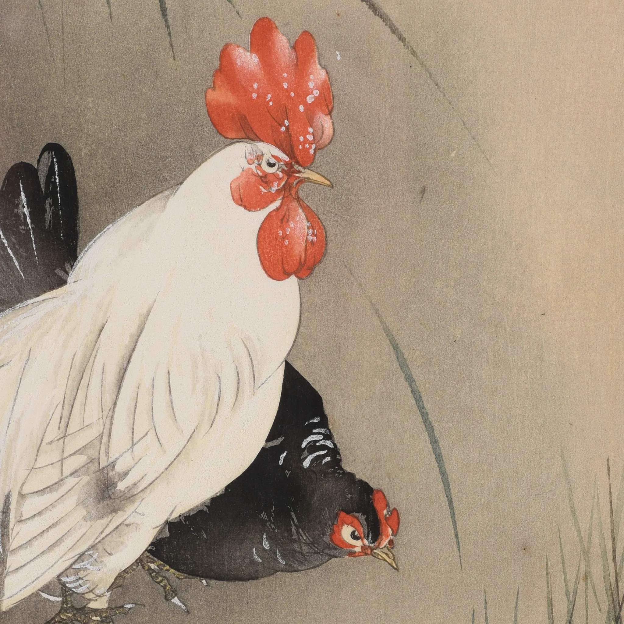 Chickens Woodblock Print By Ohara Koson - Early 20th Century - Image 3