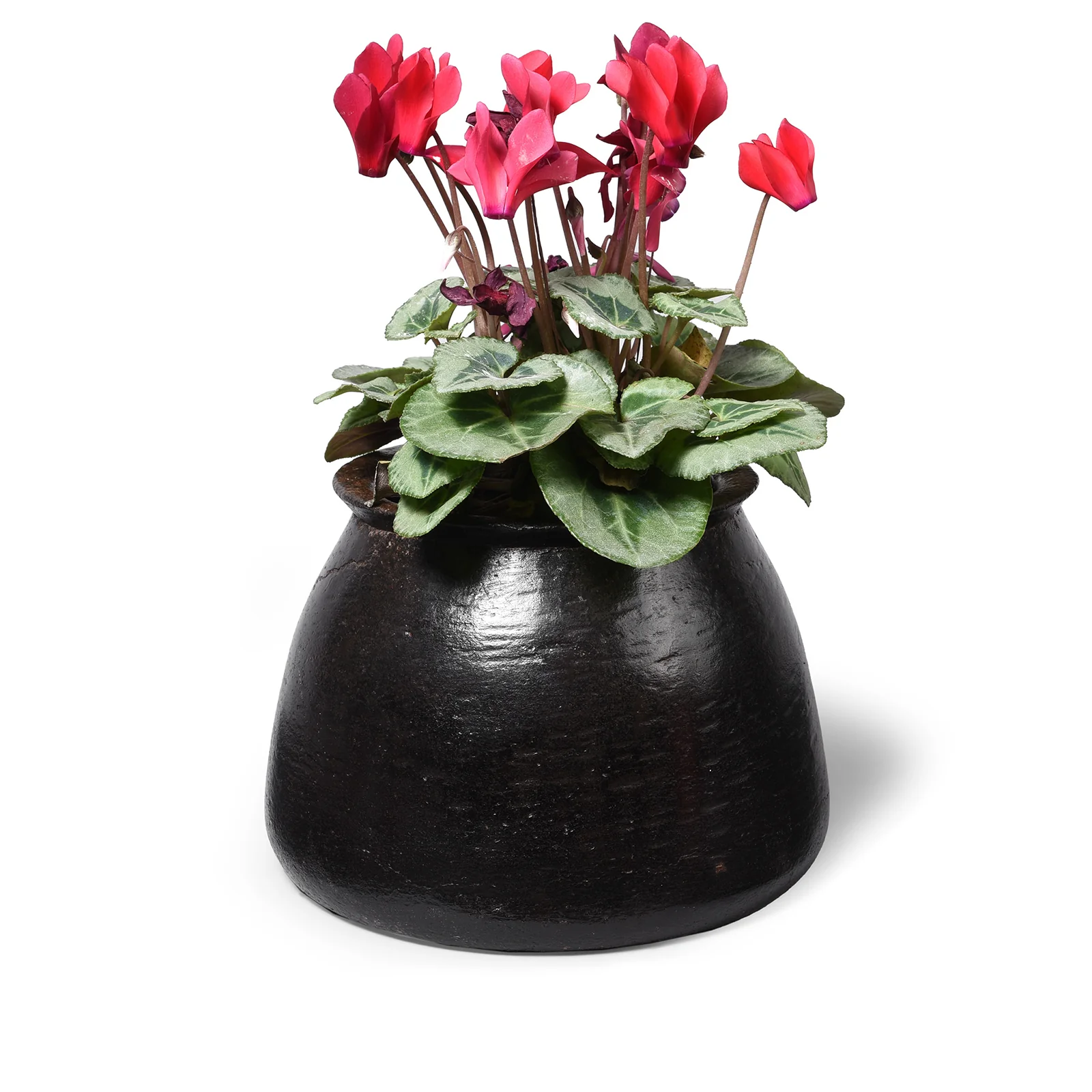 Vintage Indian Stone Plant Pot - Ca 1920's