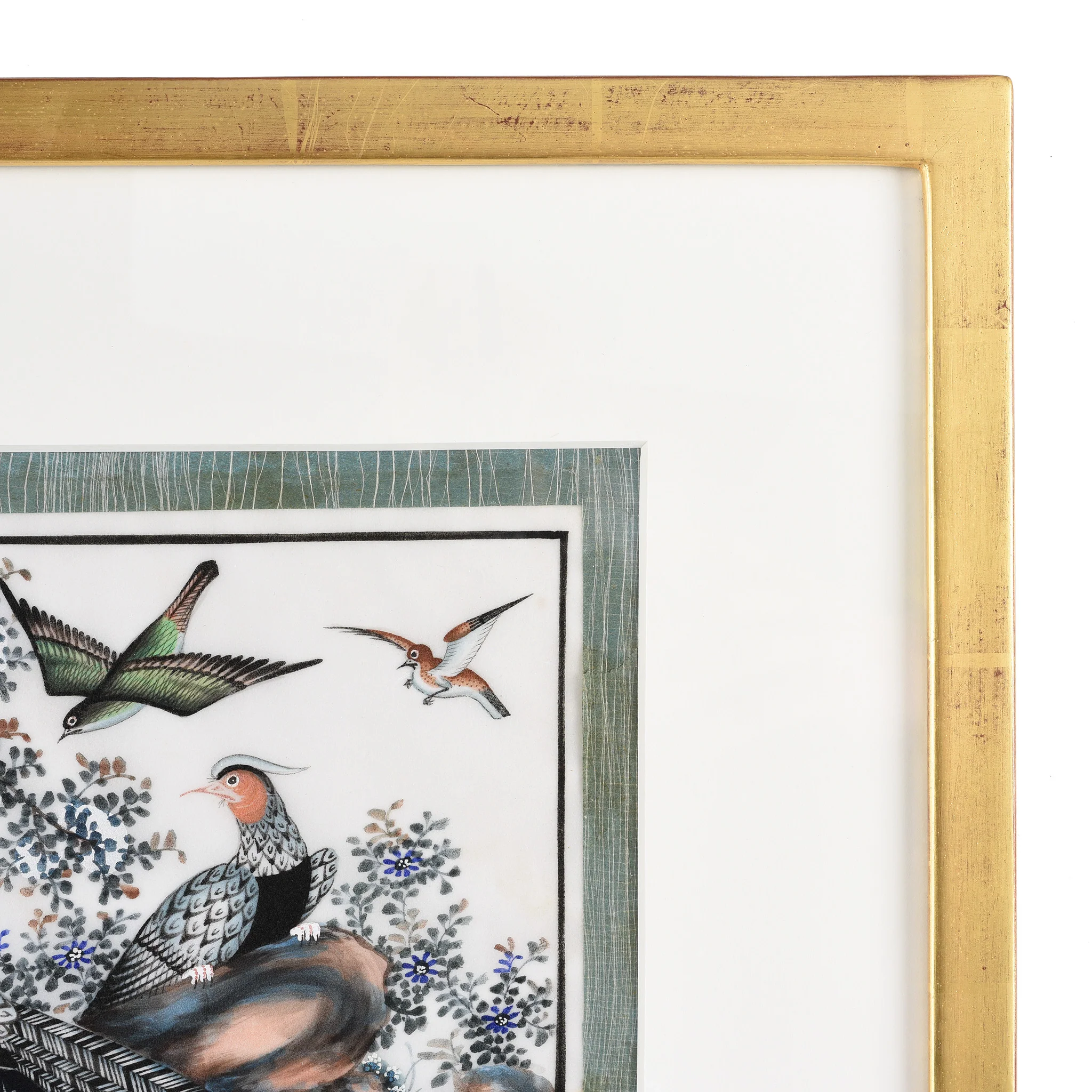 Framed Watercolour Painting of Birds on Pith Paper - 19thC - Image 5