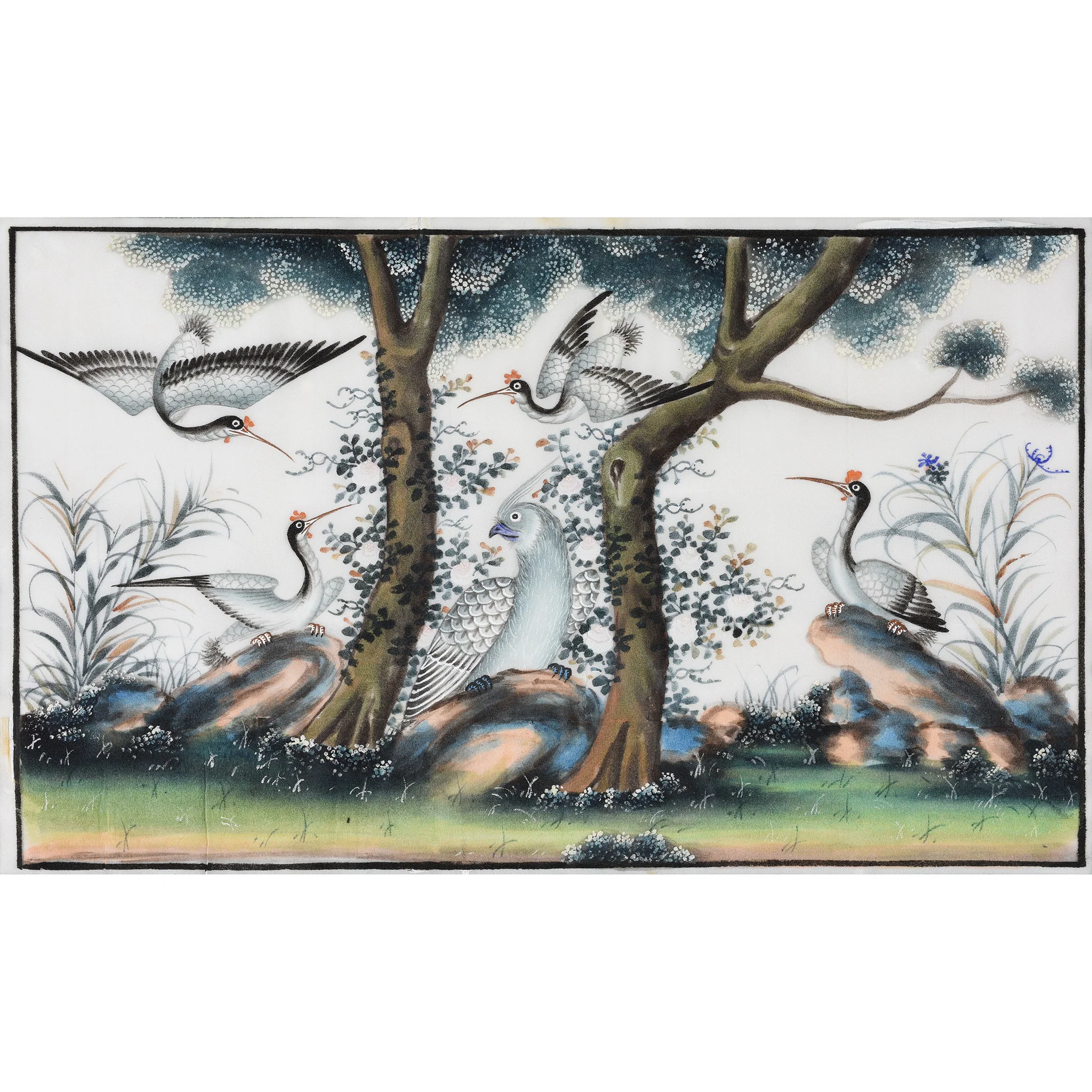 Framed Watercolour Painting of Birds on Pith Paper - 19thC - Image 2