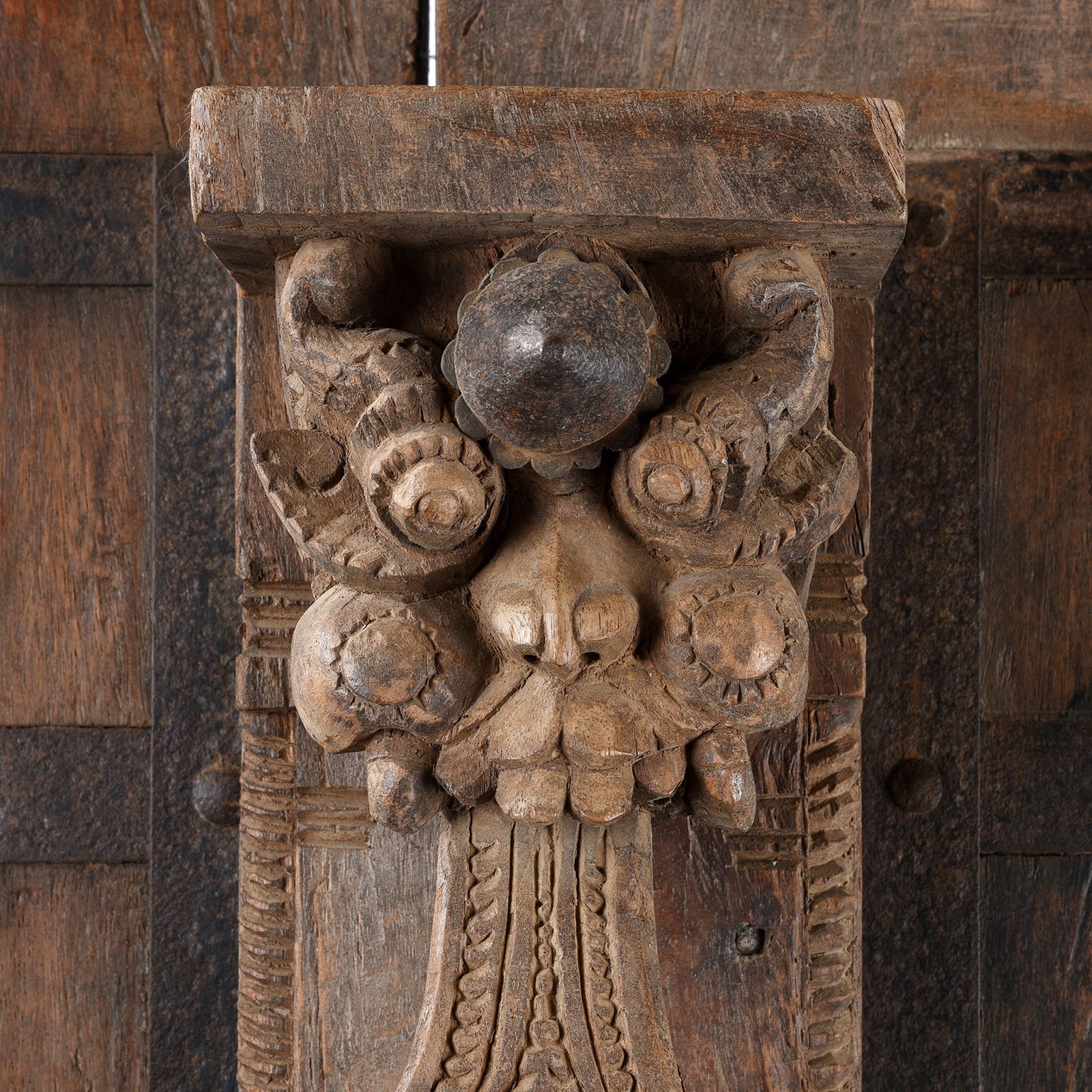 Carved Yali Door From Kerala - 19th Century - Image 4